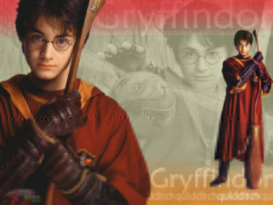 gogryffindor1.jpg